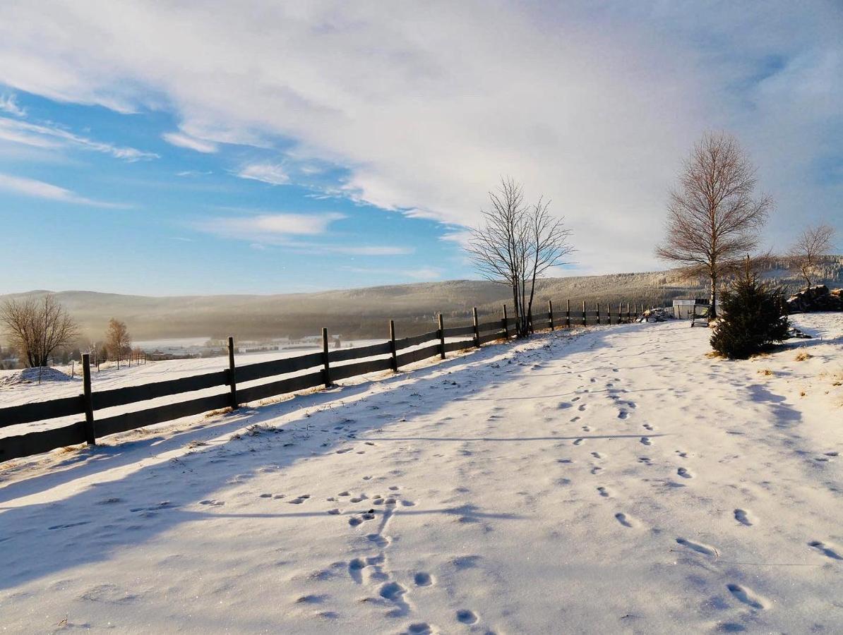 Wzgorze Owiec Sheep Hill Mostowice Exterior foto